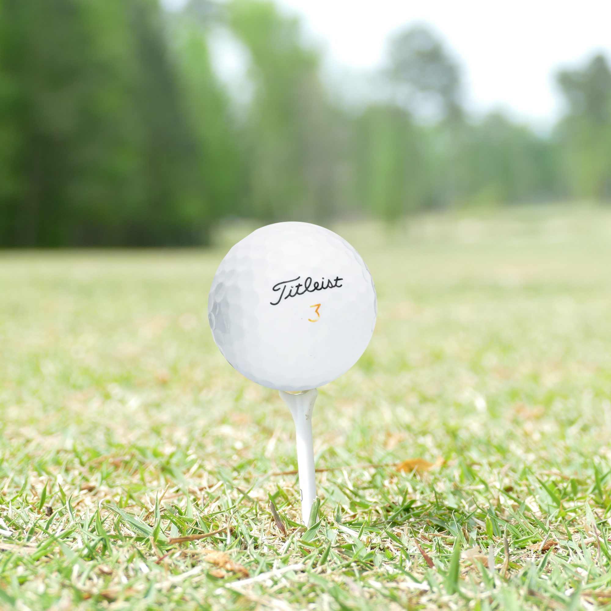 Used Titleist Velocity Golf Balls - 1 Dozen - Maximum Velocity Sports