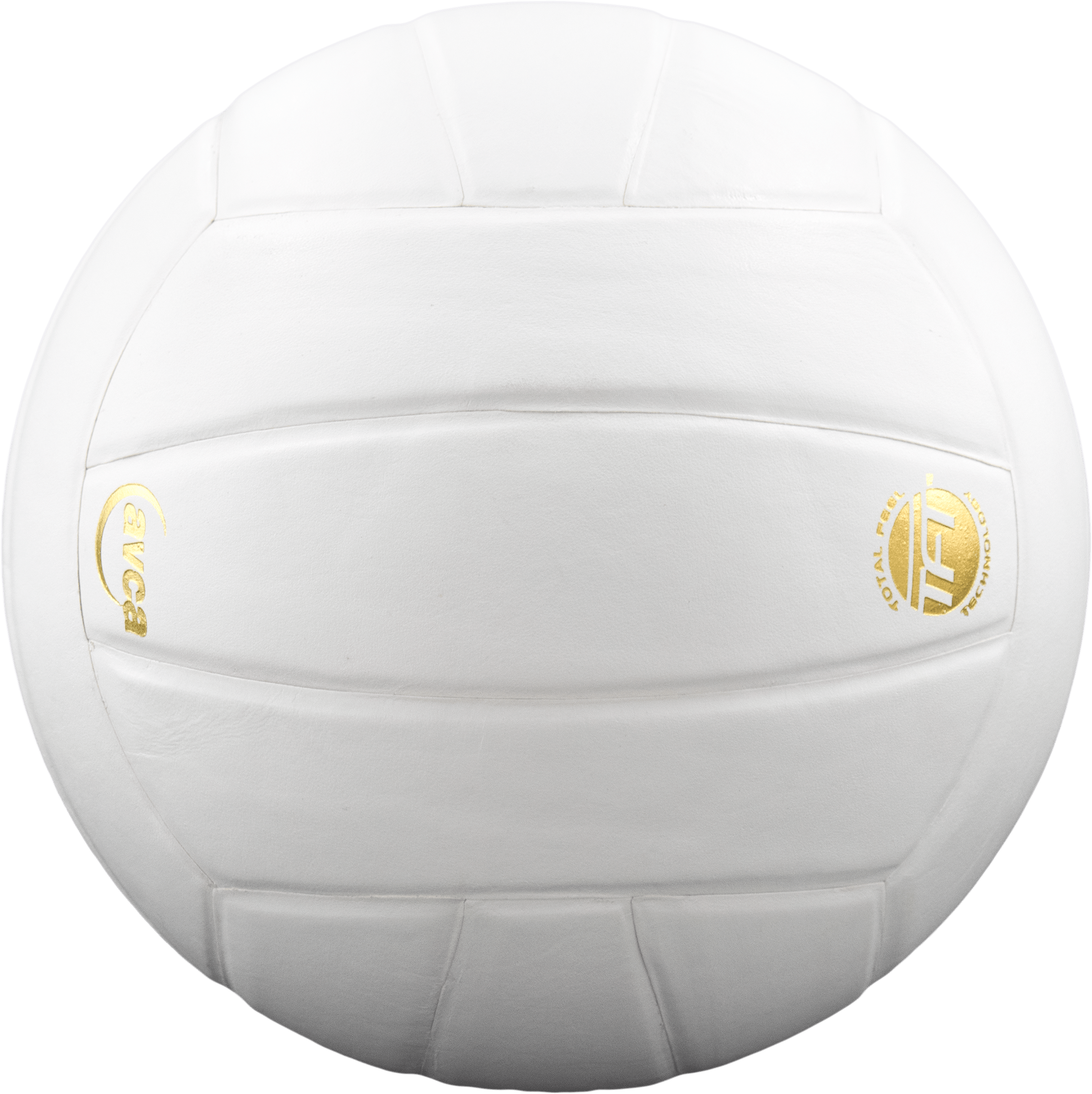 Perfection Leather Volleyball - Maximum Velocity Sports