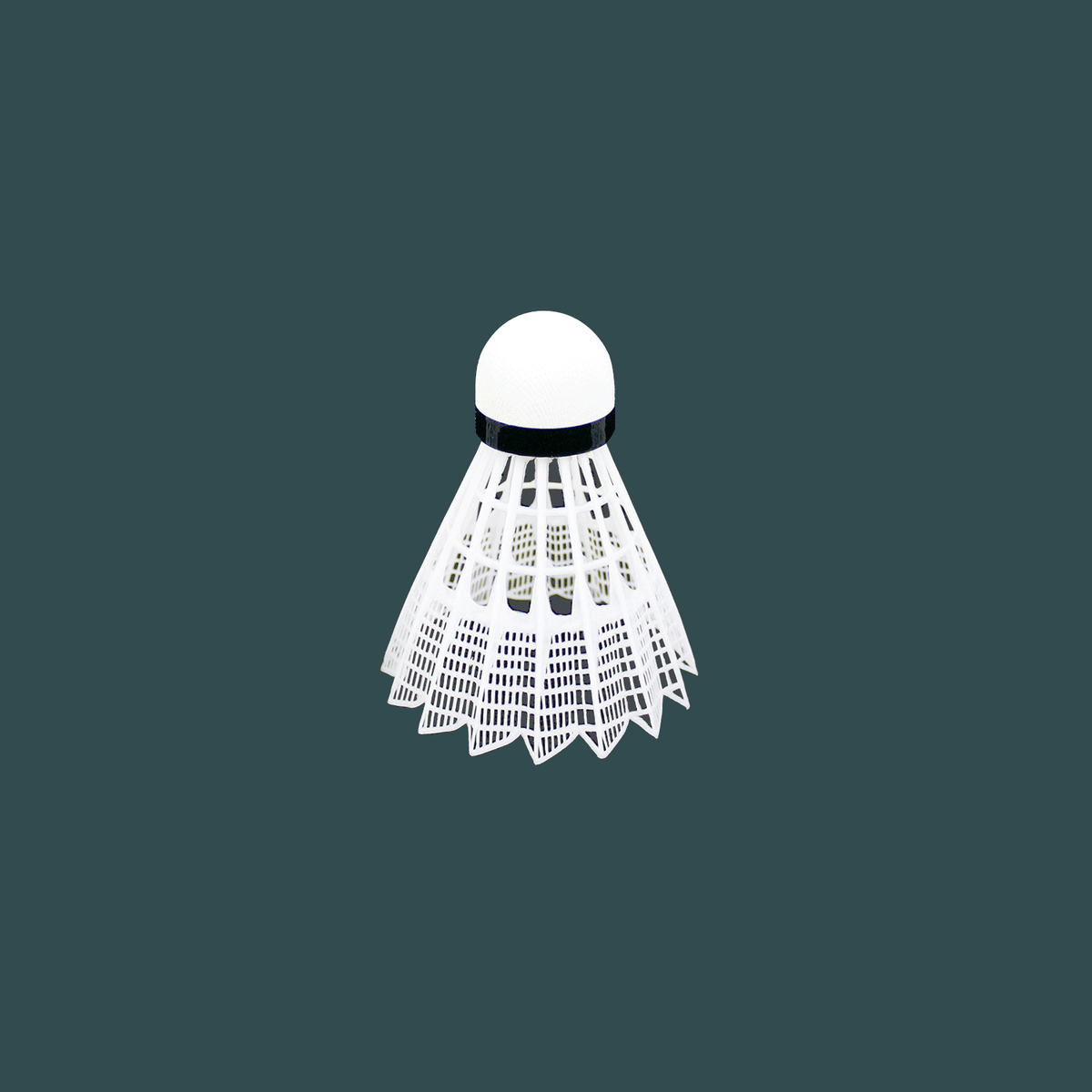Badminton Birdy - Maximum Velocity Sports