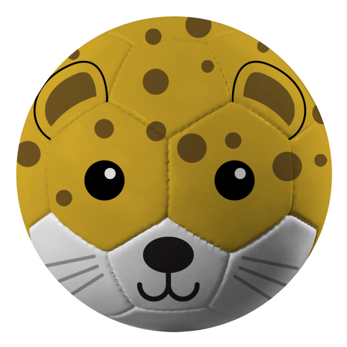 Fun Recreational soccer ball - Maximum Velocity Sports