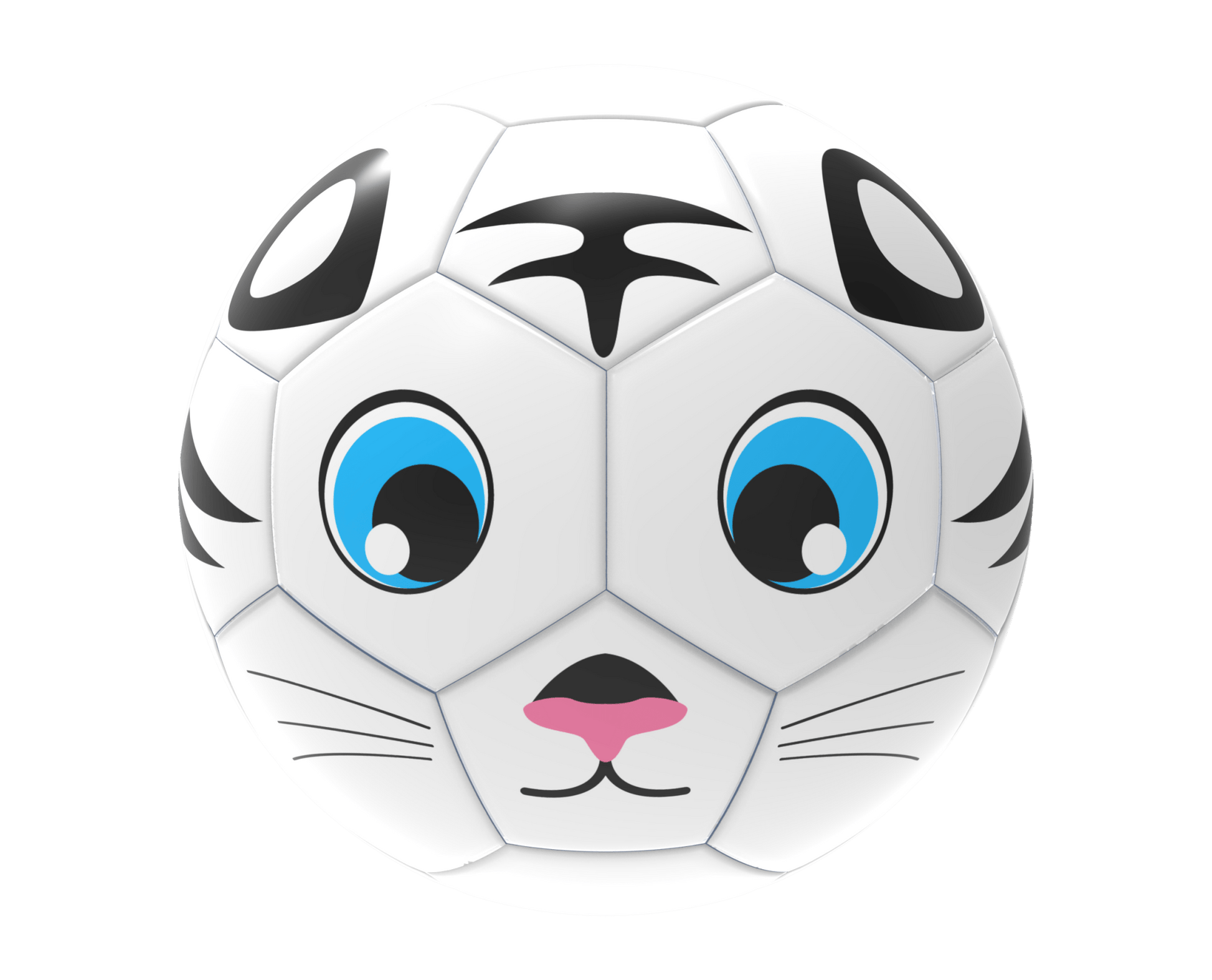 Fun Recreational soccer ball - Maximum Velocity Sports