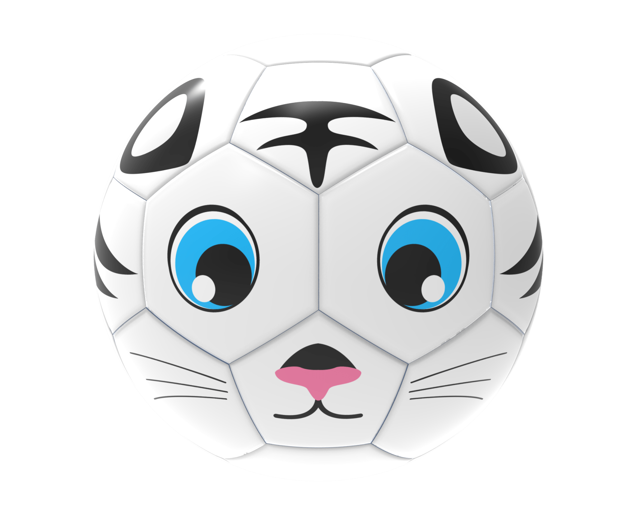 Fun Recreational soccer ball - Maximum Velocity Sports