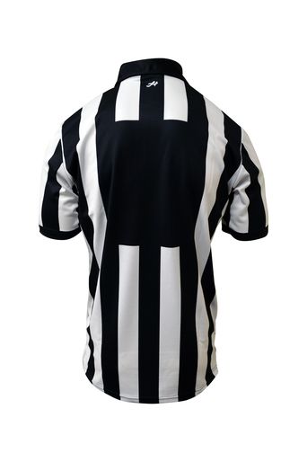 Honig's 2" Stripe Short Sleeve Jersey With Position/number Placket on back. - Maximum Velocity Sports