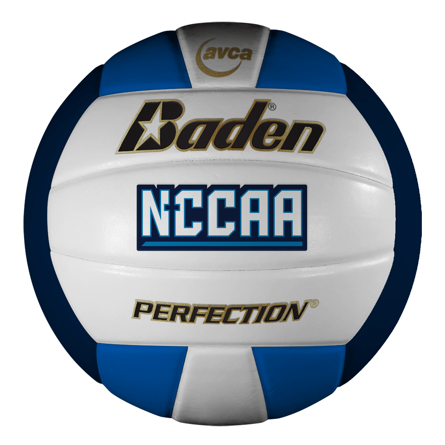 NCCAA Perfection Leather Volleyball - Maximum Velocity Sports