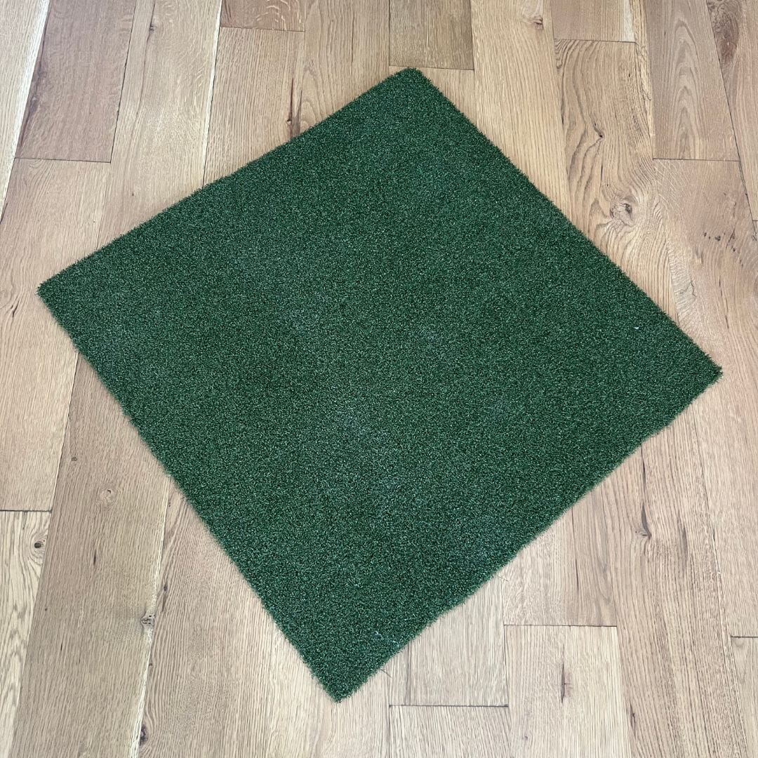 TIGS Money Putt Golf Turf - Maximum Velocity Sports